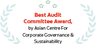 Best audit committee award