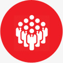 board-executive-management